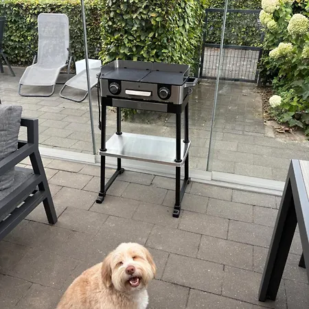 Seemoewe * Hulshorst
