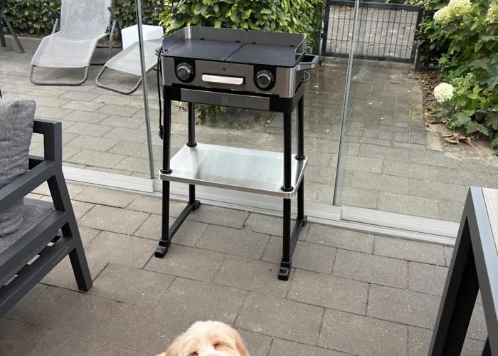 Seemoewe * Hulshorst