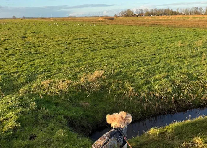 Seemoewe Сasa de vacaciones *