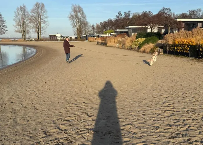 Seemoewe * Hulshorst