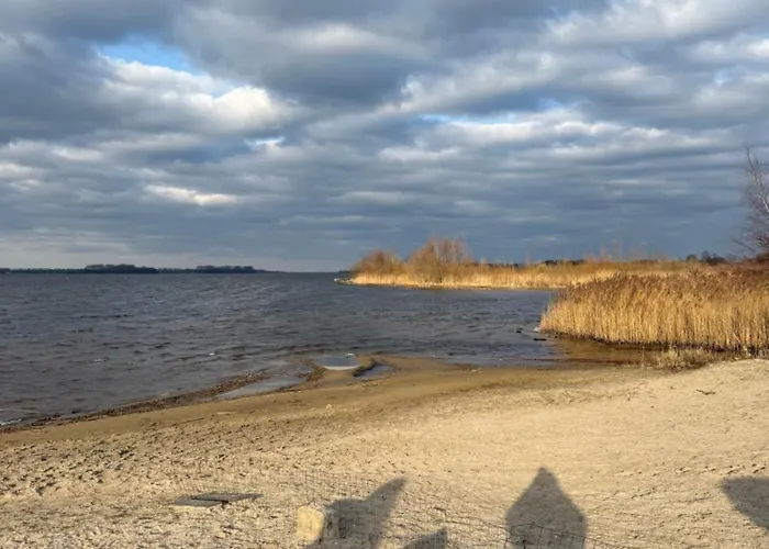 Seemoewe Сasa de vacaciones Hulshorst